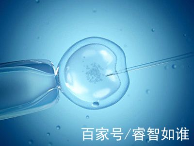 慈安中西医结合试管中心